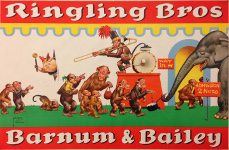 Wood: Ringling Barnum Bailey chimpanzees