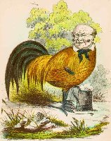 Henry L. Stephens, A Jolly Cock.  From A Comic Natural History of the Human Race.  Philadelphia: Samuel Robinson, 1851.